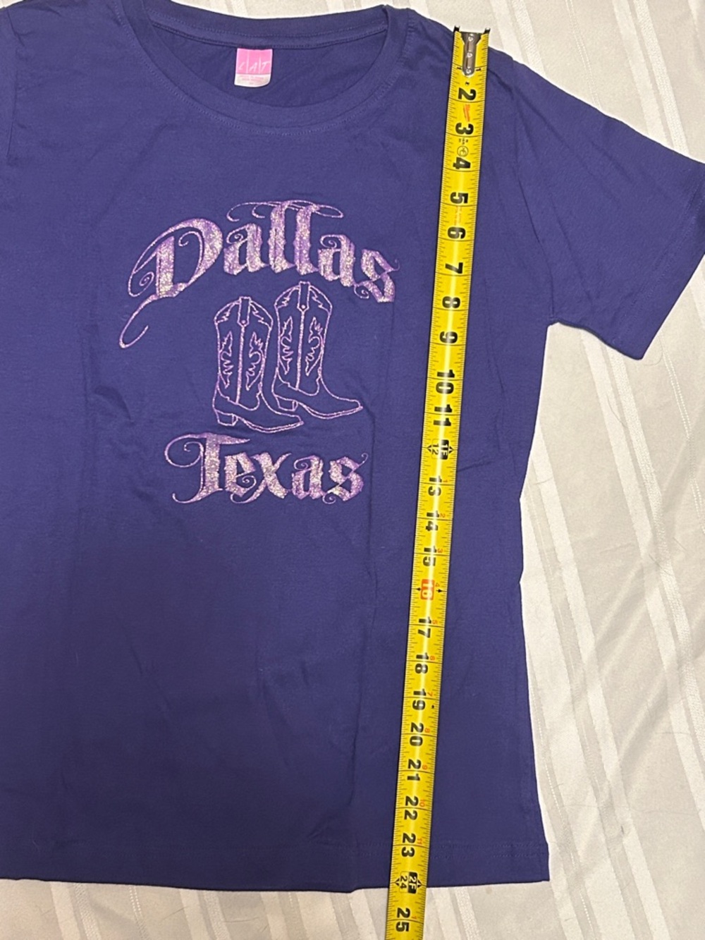 2 GOODWILL Dallas Texas Purple Graphic Tee - Picture 8 of 8